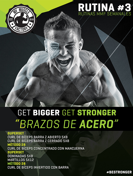 brazo