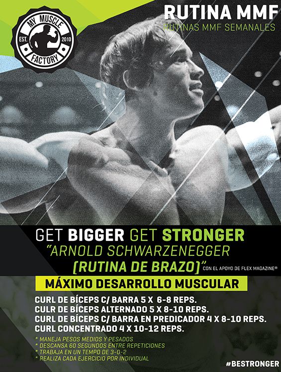 brazo