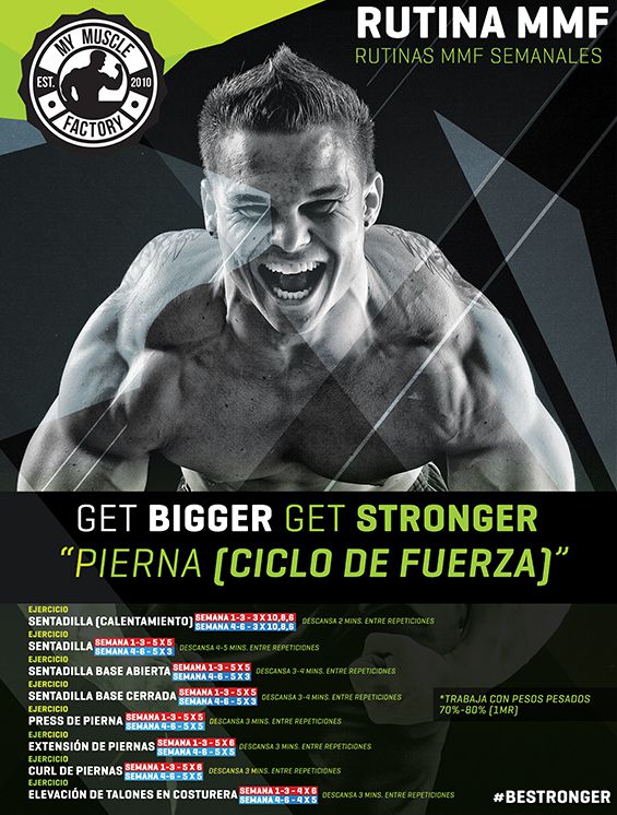 pierna