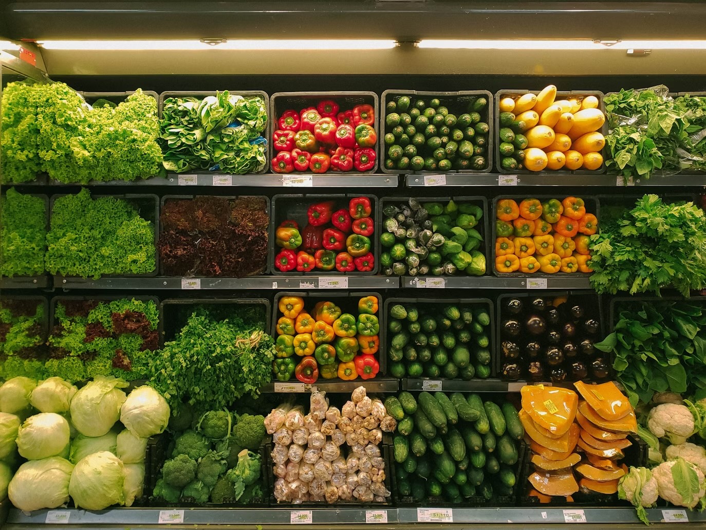 ¿Comer orgánico o no? Impacto en el rendimiento físico